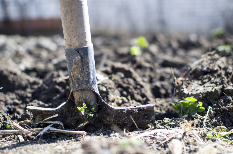 jardinerie-ST DALMAS LE SELVAGE-min_equipment-2047314